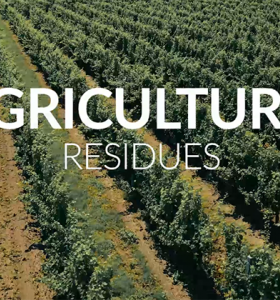 [Video] Valorisation of agricultural residues - AgriWasteValue