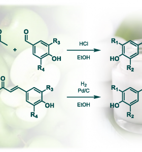 Synthesis of Biobased Phloretin Analogues: An Access to Antioxidant and Anti-Tyrosinase Compounds for Cosmetic Applications