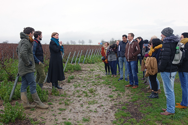 Visit of the vineyard Le Chant d'Eole in Belgium