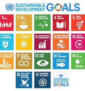 What are the Sustainable Development Goals? 