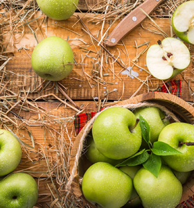 U.S. researchers work on turning apple waste into packaging material