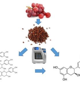 Optimization of Catechin and Proanthocyanidin Recovery from Grape Seeds Using Microwave-Assisted Extraction