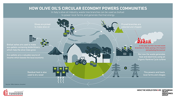 How Olive Oil's Circular Economy Powers Communities