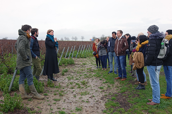 Visit of the vineyard Le Chant d'Eole in Belgium